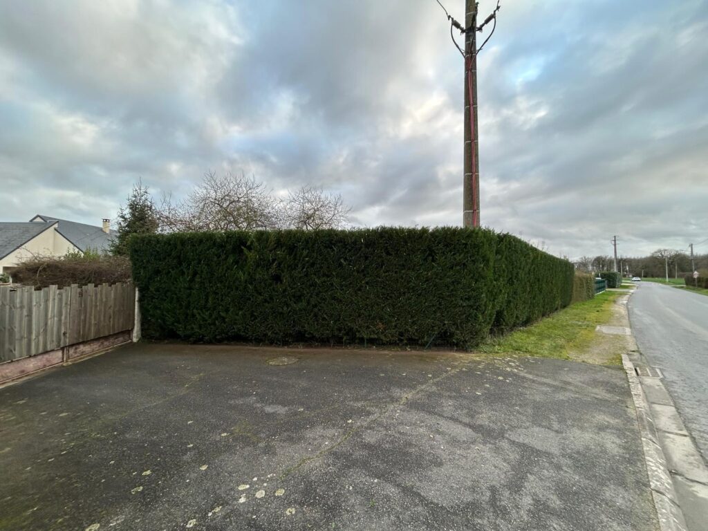 WhatsApp Image 2026-04-04 at 12.45.58